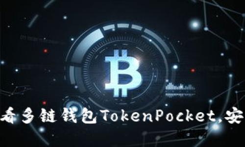 立即下载2025必看多链钱包TokenPocket，安全、便捷、放心选择