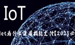 TPWallet为什么没有指纹支付？2025必看解答