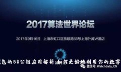 TP钱包的BR公链应用解析：如何更好地利用你的数