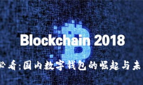 2025必看：国内数字钱包的崛起与未来趋势