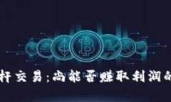 虚拟币杠杆交易：尚能否赚取利润的深度分析