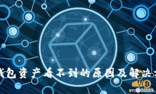 TP钱包资产看不到的原因及解决方案