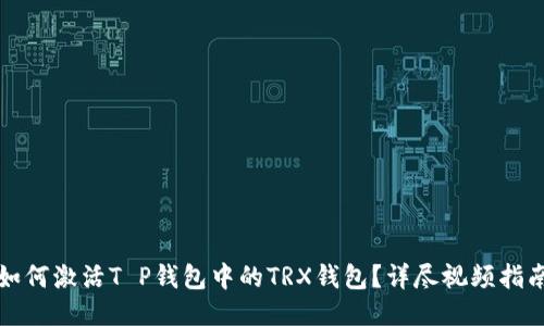 如何激活T P钱包中的TRX钱包？详尽视频指南
