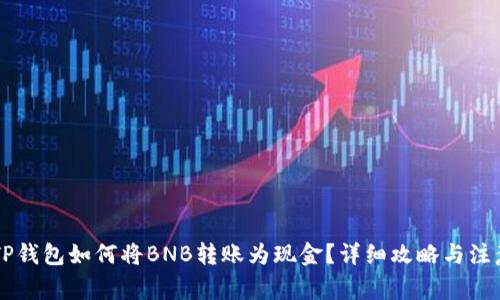 手机TP钱包如何将BNB转账为现金？详细攻略与注意事项