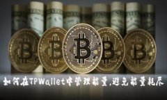 如何在TPWallet中管理能量，避免能量耗尽