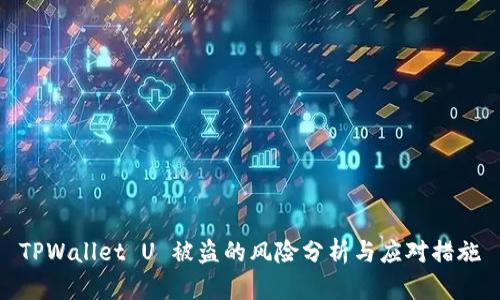 TPWallet U 被盗的风险分析与应对措施