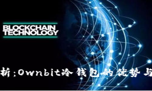 深入解析：Ownbit冷钱包的优势与安全性