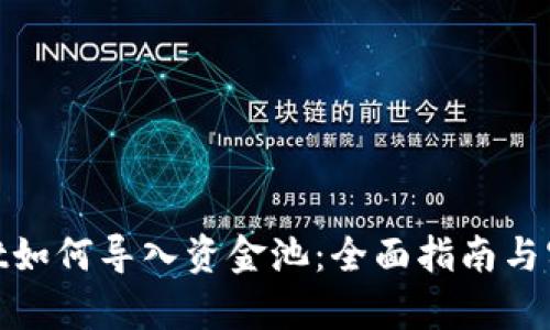 tpwallet如何导入资金池：全面指南与实用步骤