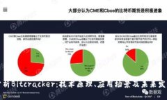 深入分析Bitcracker：技术原理、应用场景及未来发