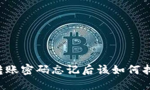 TPWallet转账密码忘记后该如何找回或重置？