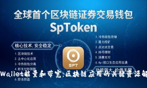 TPWallet能量和带宽：区块链应用的关键资源解析