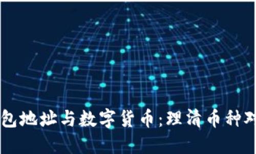 虚拟钱包地址与数字货币：理清币种对应关系