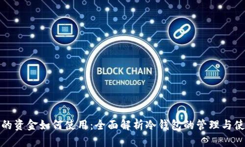 冷钱包的资金如何使用：全面解析冷钱包的管理与使用策略