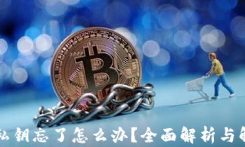 
比特派私钥忘了怎么办？全面解析与解决方案
