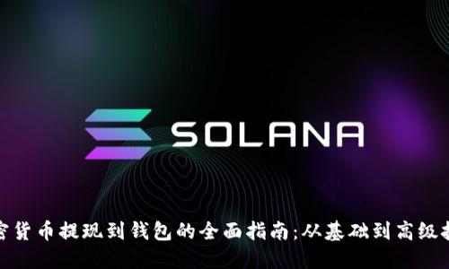 加密货币提现到钱包的全面指南：从基础到高级技巧